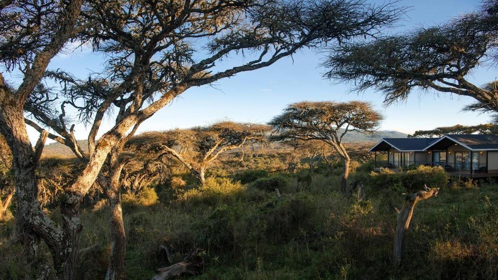 Karibu Camps And Lodges Lions Paw Ngorongoro 카라투 외부 사진